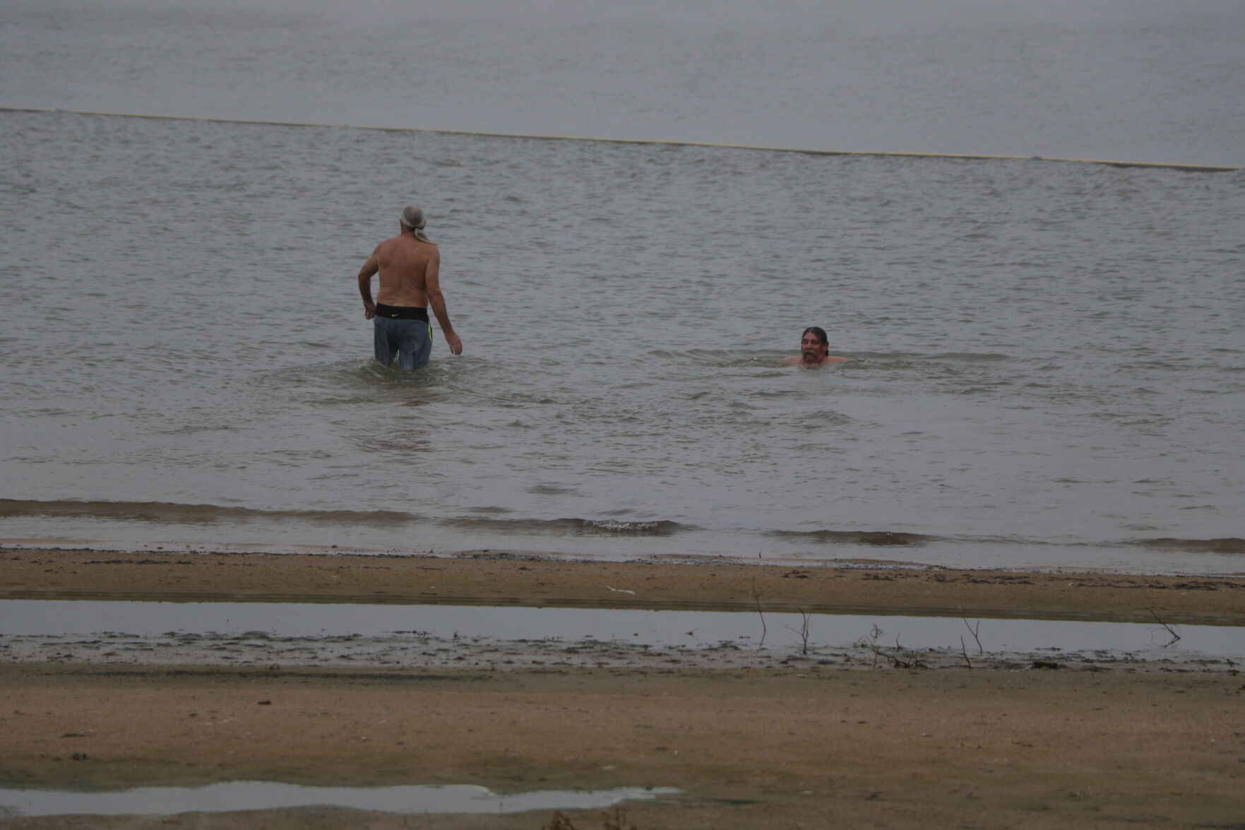 Polar Plunge